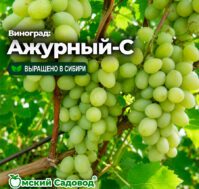 Питомник Омский Садовод