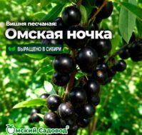 Питомник Омский Садовод