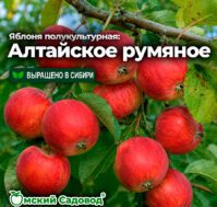 Питомник Омский Садовод