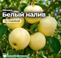 Питомник Омский Садовод
