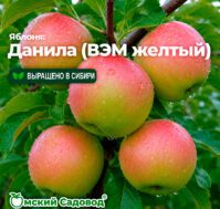 Питомник Омский Садовод