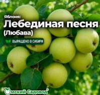 Питомник Омский Садовод
