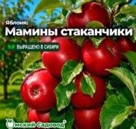 Питомник Омский Садовод