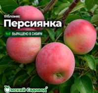 Питомник Омский Садовод