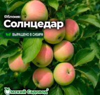Питомник Омский Садовод
