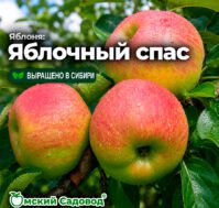 Питомник Омский Садовод
