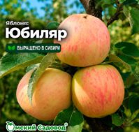 Питомник Омский Садовод