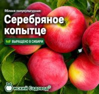 Питомник Омский Садовод