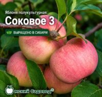 Питомник Омский Садовод