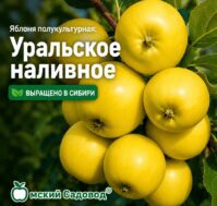 Питомник Омский Садовод