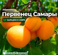 Питомник Омский Садовод