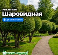 Питомник Омский Садовод