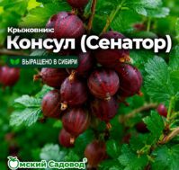 Питомник Омский Садовод