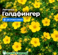 Питомник Омский Садовод
