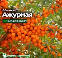 Питомник Омский Садовод