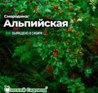 Питомник Омский Садовод
