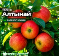 Питомник Омский Садовод