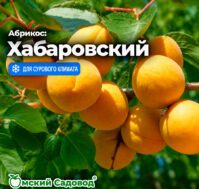 Питомник Омский Садовод