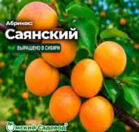 Питомник Омский Садовод