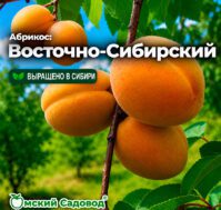 Питомник Омский Садовод