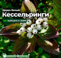 Питомник Омский Садовод