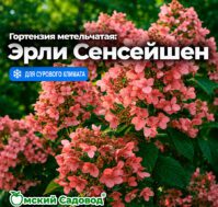 Питомник Омский Садовод