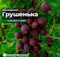Питомник Омский Садовод