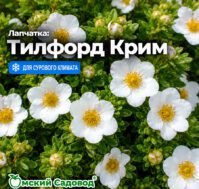 Питомник Омский Садовод