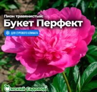 Питомник Омский Садовод