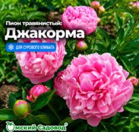 Питомник Омский Садовод