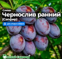 Питомник Омский Садовод