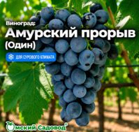 Питомник Омский Садовод