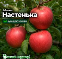 Питомник Омский Садовод