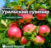 Питомник Омский Садовод