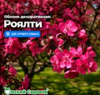 Питомник Омский Садовод