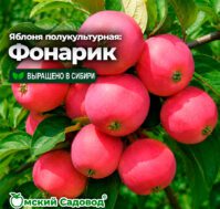 Питомник Омский Садовод