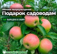 Питомник Омский Садовод