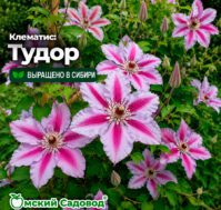 Питомник Омский Садовод