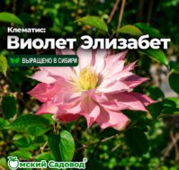 Питомник Омский Садовод