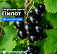 Питомник Омский Садовод