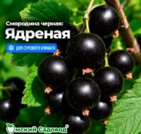 Питомник Омский Садовод