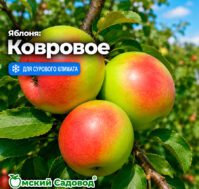 Питомник Омский Садовод
