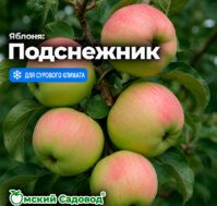 Питомник Омский Садовод