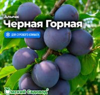 Питомник Омский Садовод