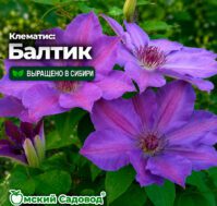Питомник Омский Садовод