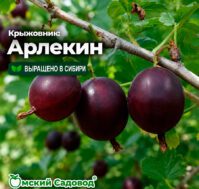 Питомник Омский Садовод
