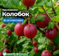 Питомник Омский Садовод