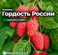 Питомник Омский Садовод