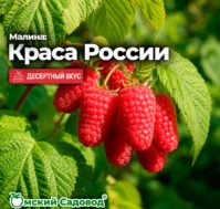 Питомник Омский Садовод