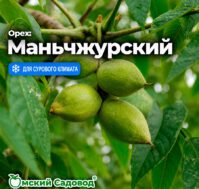 Питомник Омский Садовод